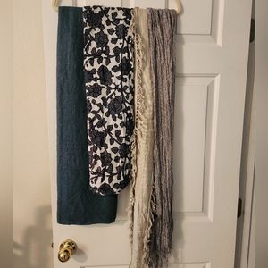 4 Women's Scarves (Loft & Dana Buchman)